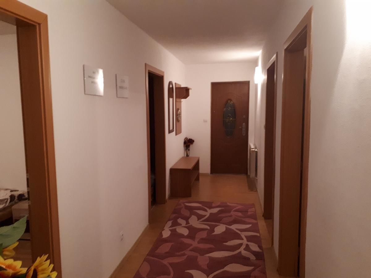 Homestay Renata Nová Lesná 外观 照片